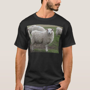 Cheviot schaap t-shirt