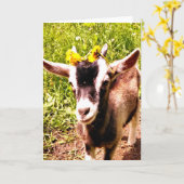 Chèvre bébé avec fleurs - Carte blanche (Fleur jaune)