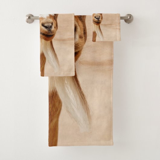 Chèvre Brown et chèvre blanche (En situation)