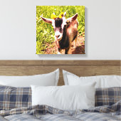 Chèvre de bébé avec fleurs - toile enveloppée Impr (Insitu(Chambre))