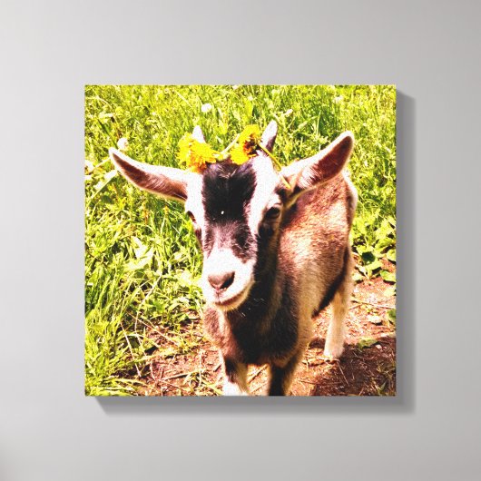 Chèvre de bébé avec fleurs - toile enveloppée Impr (Recto)