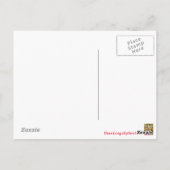 Chèvre de bébé - Carte postale (Dos)