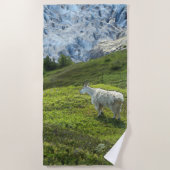 Chèvre glacier - Serviette de plage (Devant)