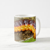 Chèvre Moth Caterpillar Bug Mug (Devant droit)