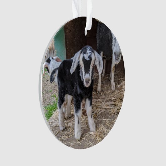 Chèvre ornement bébé 2 images (devant)