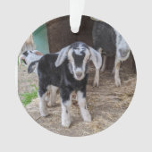 Chèvre ornement bébé 2 images (devant)