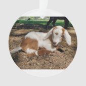Chèvre ornement de bébé 2 photos (devant)