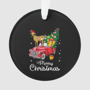 Chèvre Rides Red Car Noël