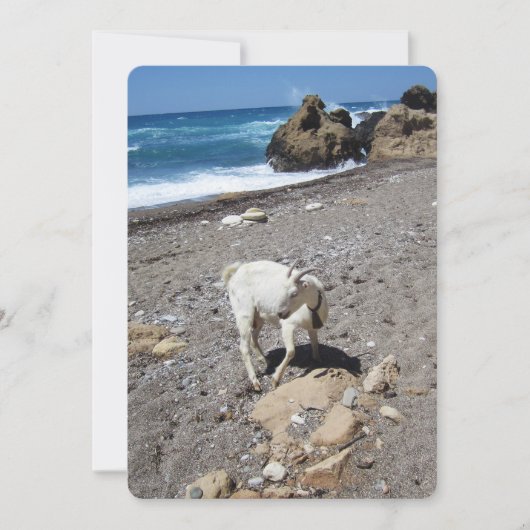 Chèvre sur la carte de vacances plate de la plage (Devant)