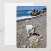 Chèvre sur la carte de vacances plate de la plage (Devant / Derrière)