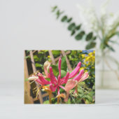 Chèvrefeuille grimpant briefkaart (Staand voorkant)