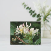 Chèvrefeuille jaune blanc Bon rétablissement Carte (Debout devant)