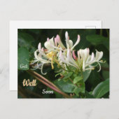 Chèvrefeuille jaune blanc Bon rétablissement Carte (Devant / Derrière)