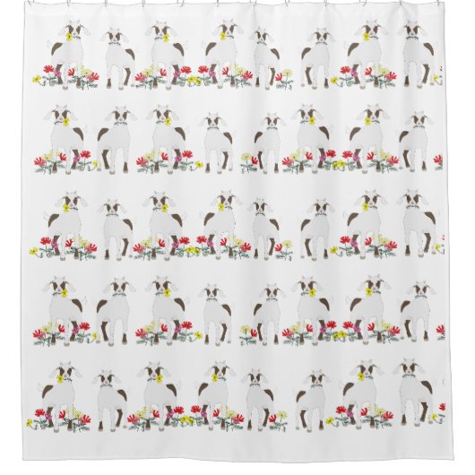 Chèvres achetées par disquette Rideau de douche (Devant)