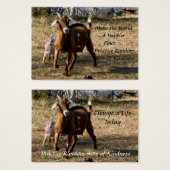 Chèvres adorables Actes aléatoires de bonnes carte (Devant & derrière)