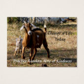 Chèvres adorables Actes aléatoires de bonnes carte (Dos)