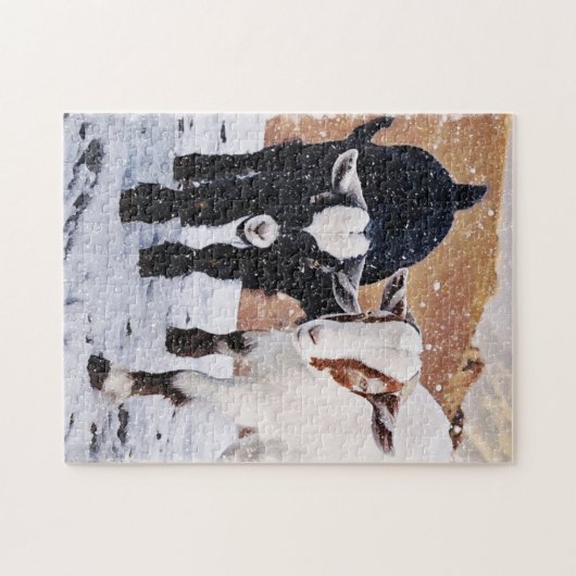 Chèvres de bébé doux Puzzle mignon (Horizontal)