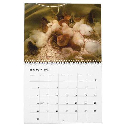 Chèvres et calendrier 2013 de volaille (Jan 2027)