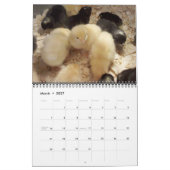 Chèvres et calendrier 2013 de volaille (Mar 2027)