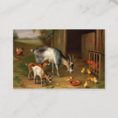 Chèvres Et Poulets Au Carte de visite De La Ferme (Dos)