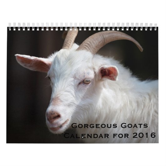 Chèvres magnifiques calendrier de 12 mois pour (Protection)