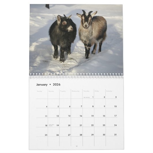 Chèvres magnifiques calendrier de 12 mois pour (Jan 2026)