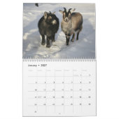 Chèvres magnifiques calendrier de 12 mois pour (Jan 2027)