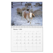 Chèvres Sur Le Ranch Calendrier v3 (Feb 2026)