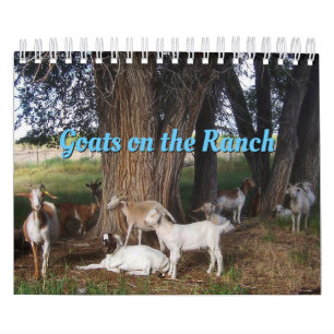Chèvres Sur Le Ranch Calendrier v3