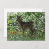 Chevreuil mignon en forêt. Carte d'anniversaire (Devant / Derrière)