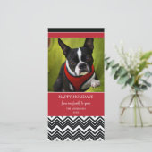 CHEVRON BARRE LE CARTE PHOTO DE VACANCES DE %PIPE% (Debout devant)