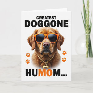 Chevron Cool Hond Portretkaart Kaart