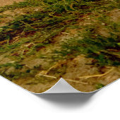 Chevy Pickup 1954 Poster (Hoek)