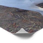 Chevy Poster (Hoek)