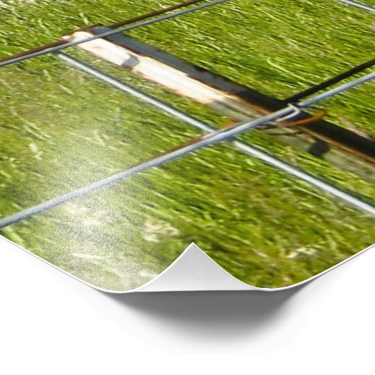 Chew Mail Pouch Tobacco Treat Yourself to the Best Foto Afdruk (Hoek)