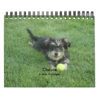 Chewie: A Jaar in Afbeelding Kalender