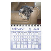 Chewie: A Jaar in Afbeelding Kalender (Feb 2026)