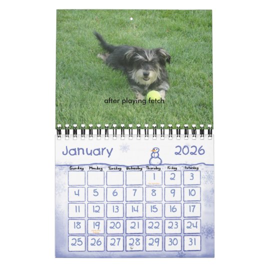 Chewie: A Jaar in Afbeelding Kalender (Jan 2026)