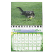 Chewie: A Jaar in Afbeelding Kalender (Mar 2026)