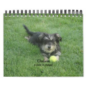 Chewie: A Jaar in Afbeelding Kalender (Hoes)