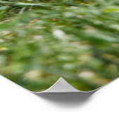 Chewing on it poster (Hoek)