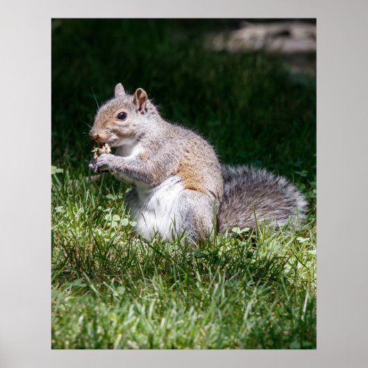 Chewing on it poster (Voorkant)