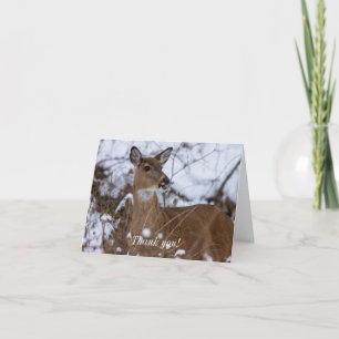 Chewy Dank je wel Bedankkaart