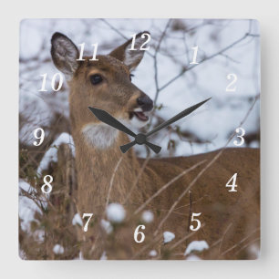 Chewy Wall Clock Vierkante Klok