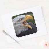 Cheyenne Sticker (Enveloppe)