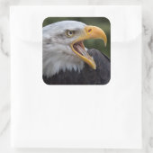 Cheyenne Sticker (Sac)