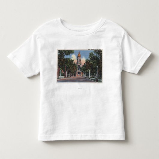 Cheyenne, WY - Uitzicht van staatskapitol en Drive Kinder Shirts (Voorkant)