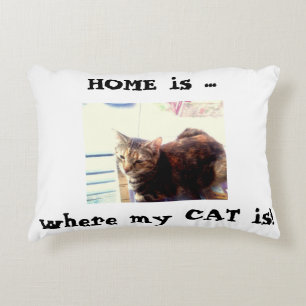 Chez moi, mon chat est Coussin