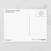 Chi Chi Briefkaart (Achterkant)