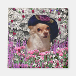 Chi Chi in Flowers - Chihuahua Puppy in Schattig P Magneet
